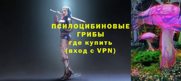 спиды Армянск