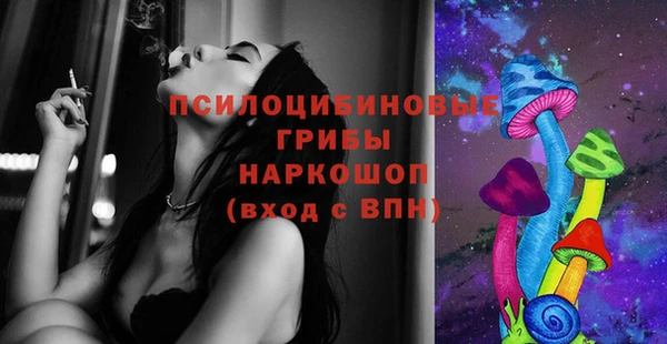 PSILOCYBIN Арсеньев