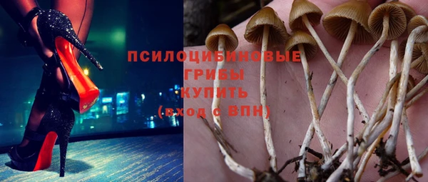 спиды Армянск